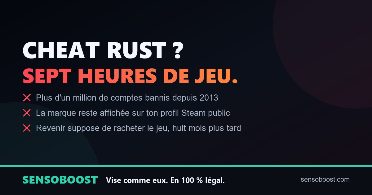 Carte récapitulative du dossier cheat Rust : marque publique sur le profil Steam, retrait en moins de sept heures de jeu et retour payant après huit mois